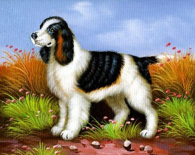 油画-高贵 狗,装饰画