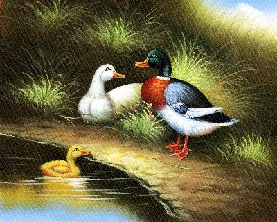 油画-自由自在一 鸭,鹅,装饰画