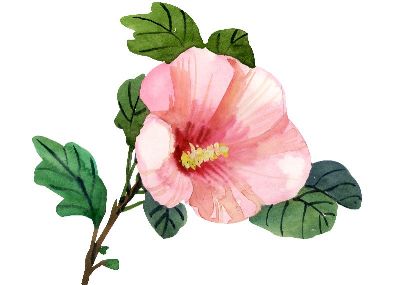 油画-鲜艳五 花卉