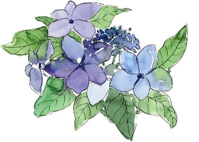 油画-鲜艳四 花卉