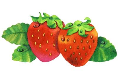 油画-草莓 插画 俏皮,装饰画