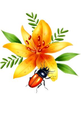 油画-甲虫九 昆虫