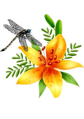 油画-蜻蜓五 昆虫