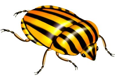 油画-甲虫十六 昆虫