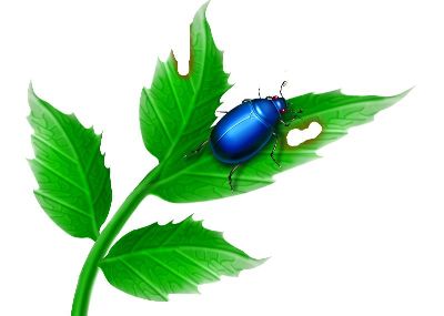 油画-甲虫十 昆虫