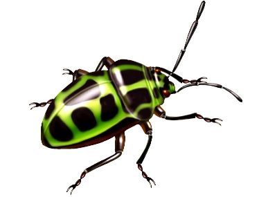 油画-甲虫十五 昆虫
