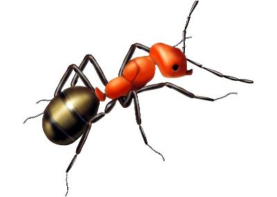 油画-蚂蚁六 昆虫