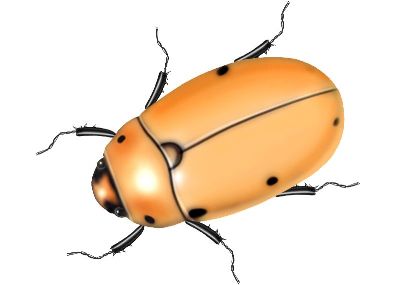 油画-甲虫二十六 昆虫