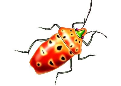 油画-甲虫十四 昆虫