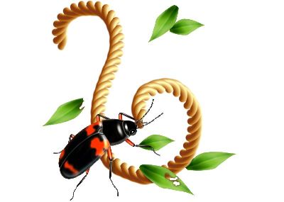 油画-迷彩甲虫 昆虫