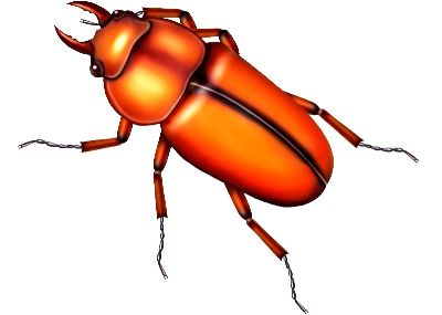 油画-甲虫七 昆虫