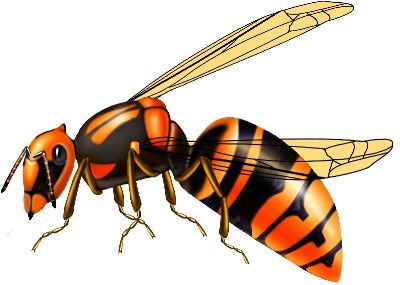 油画-蜜蜂二 昆虫