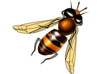 油画-马蜂 昆虫