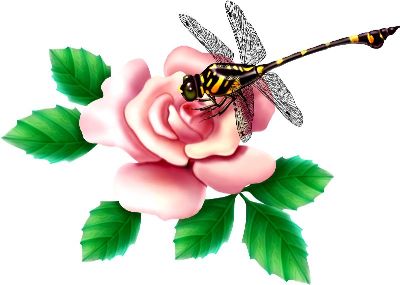 油画-蜻蜓一 昆虫