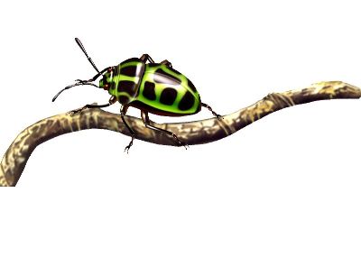油画-甲虫八 昆虫