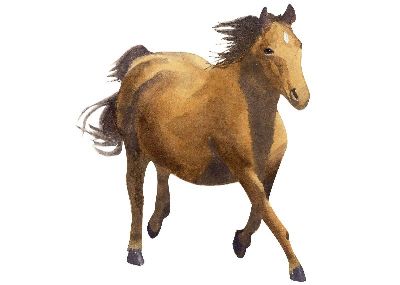 油画-奔驰 马