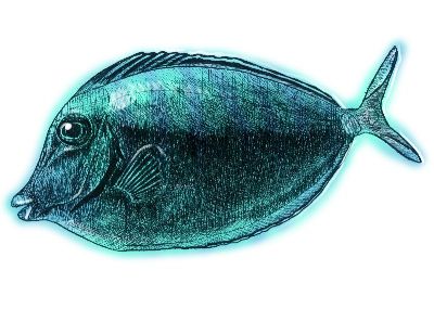 油画-深海鱼五 海洋生物