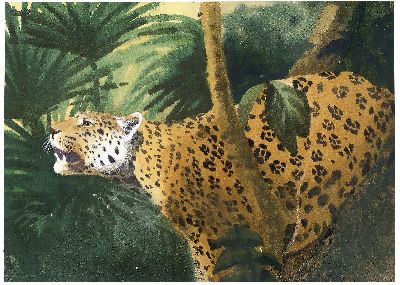 油画-豹子 野生动物