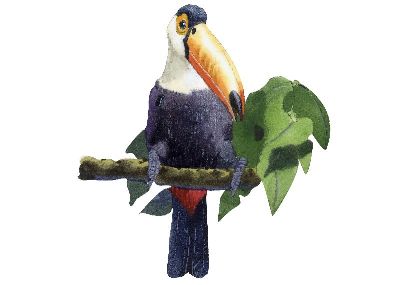 油画-啄木鸟