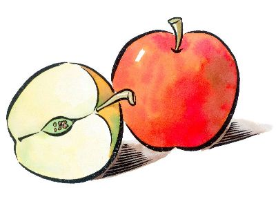 油画-苹果 瓜果蔬菜,装饰画