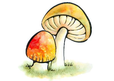 油画-蘑菇