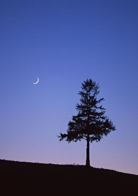 摄影-夜幕降临之一 特写