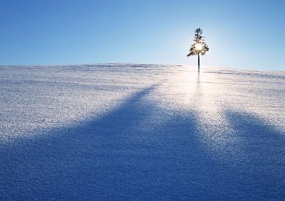 摄影-白雪皑皑之一 特写