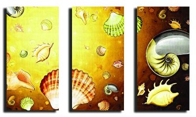 组合画-金色贝壳 彩绘,贝壳