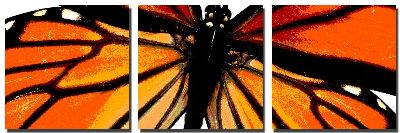 组合画－蝴蝶四 动物 彩绘
