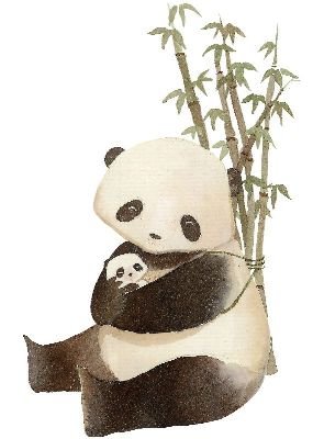 油画-熊猫 插画 淡彩 装饰画