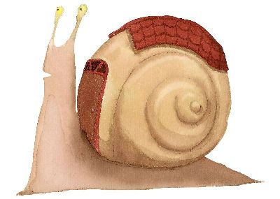 油画-蜗牛 插画 淡彩 装饰画