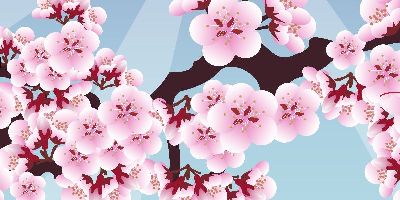 绢布-梅花 植物 花卉