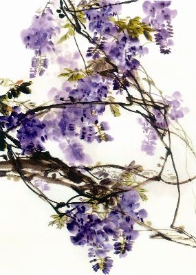 国画-紫花 国画 花卉