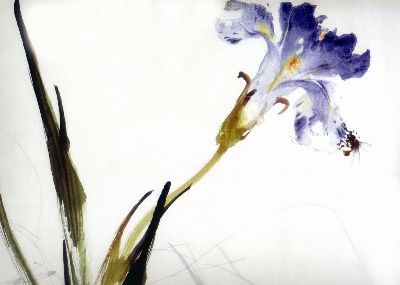 国画-紫花二 国画 花卉