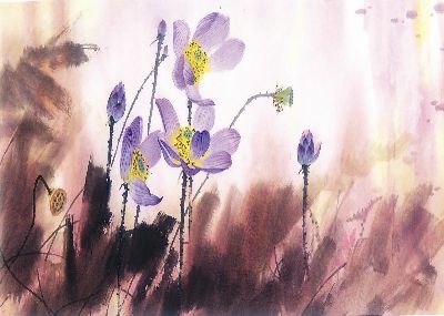 国画-紫莲 国画 花卉