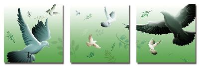 组合画-和平之鸽 鸽子,彩绘