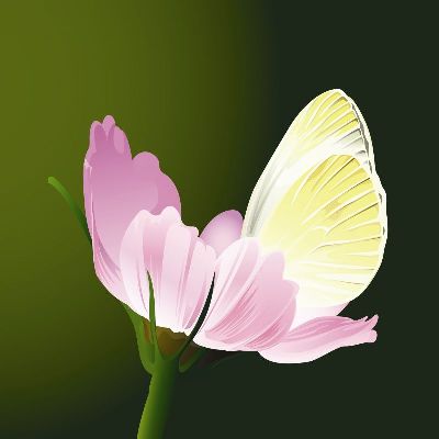 绢布-勤劳 插画 花卉