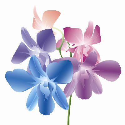 绢布-绚丽 插画 花卉