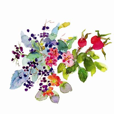 绢布-收获 插画 花卉
