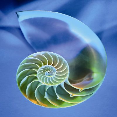 绢布-海螺 抽象 特写 光幻影