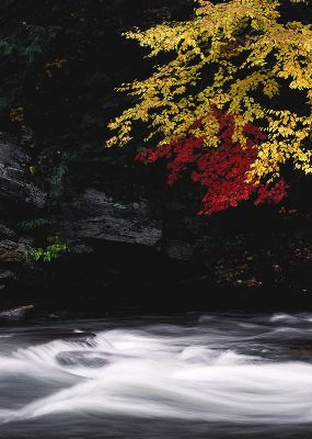 摄影-高山流水