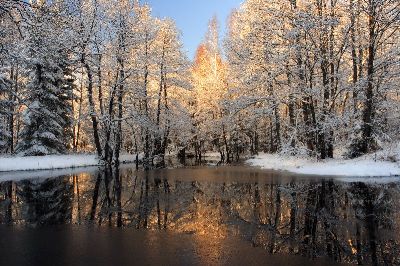 摄影-湖泊雪景 树木