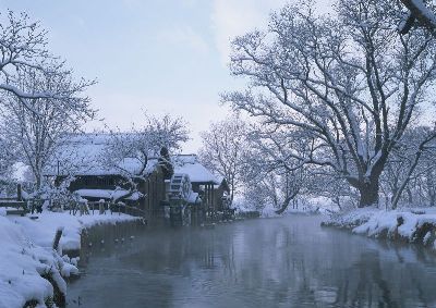 摄影-乡村雪景 树木