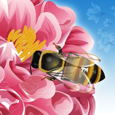 简约画-花开蜂忙 蜜蜂,花类装饰画,插画