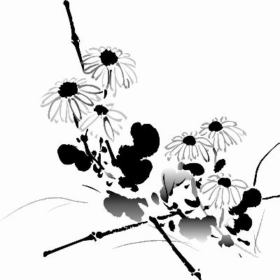 绢布-野花 插画 花卉